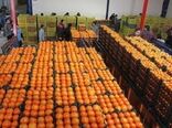  ۳۰۰تن میوه طرح تنظیم بازار شب عید در ایلام توزیع می شود