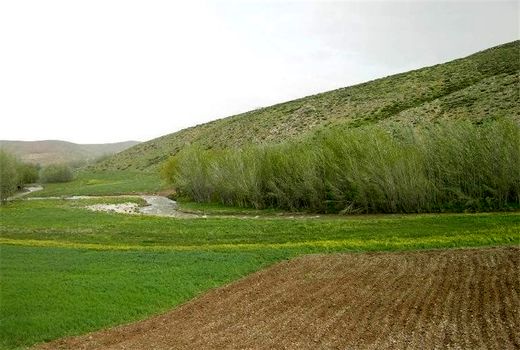 ۱۰۳ هکتار از اراضی دولتی خراسان رضوی مسترد شد