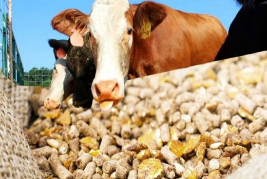 روش‌های سنتی پاسخگوی نیاز غذایی جهان نیست