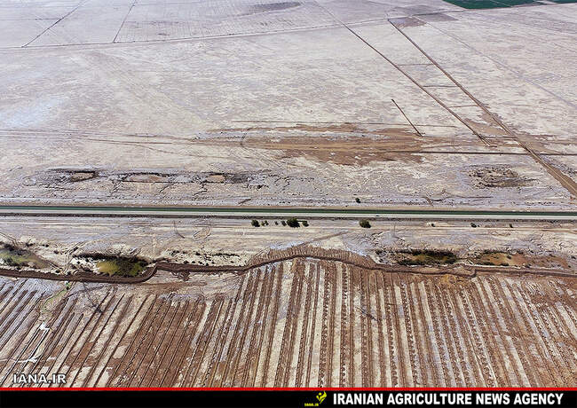 بیابان‌زایی