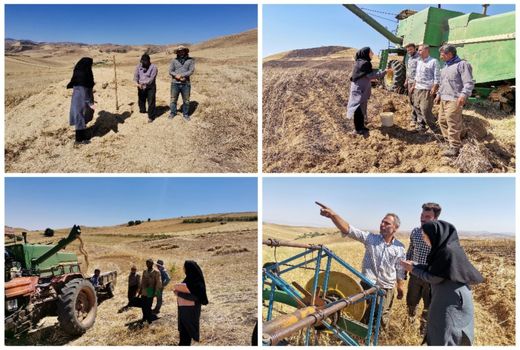 معاینه فنی کمباین های برداشت غلات در شهرستان کلیبر